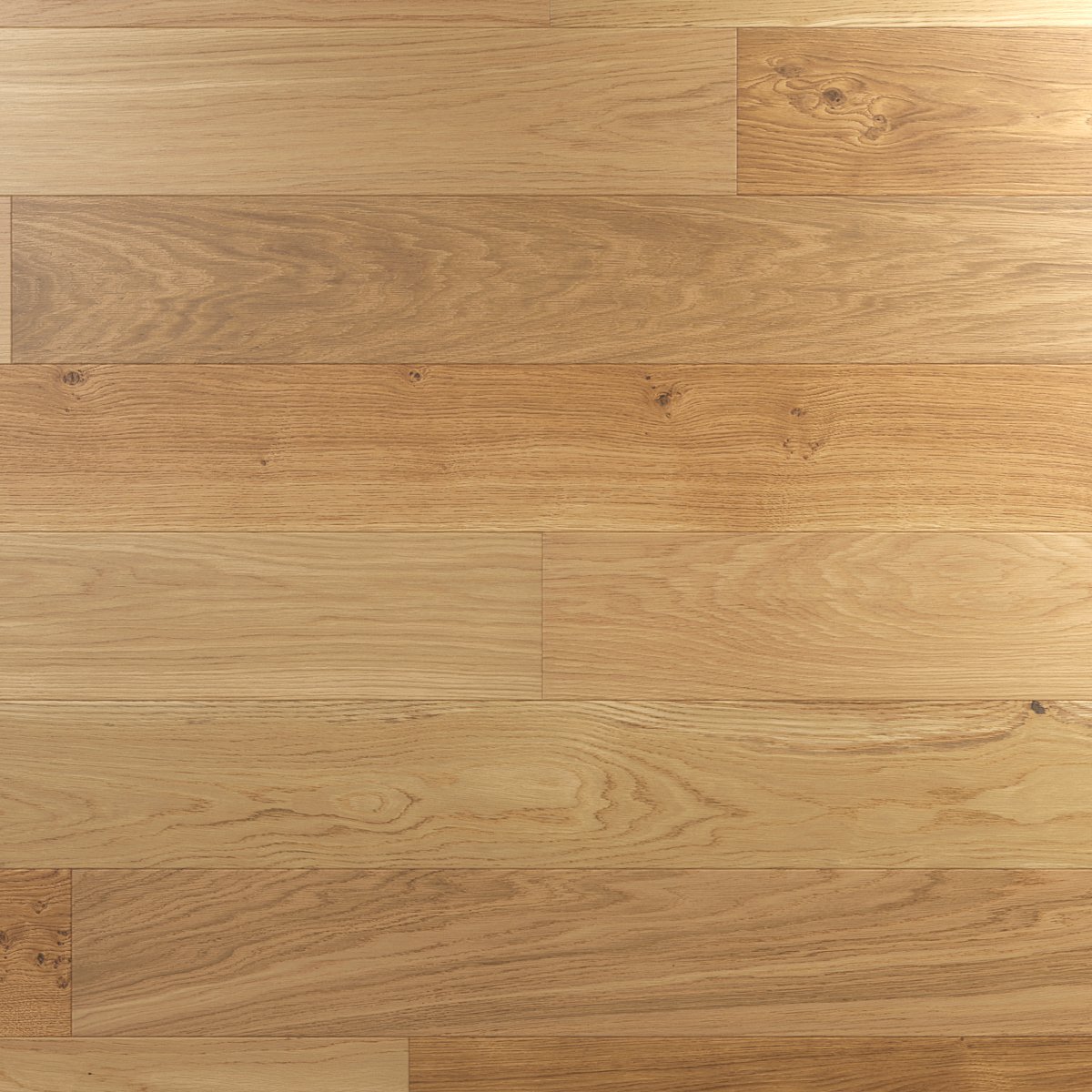 třídění esco – calm