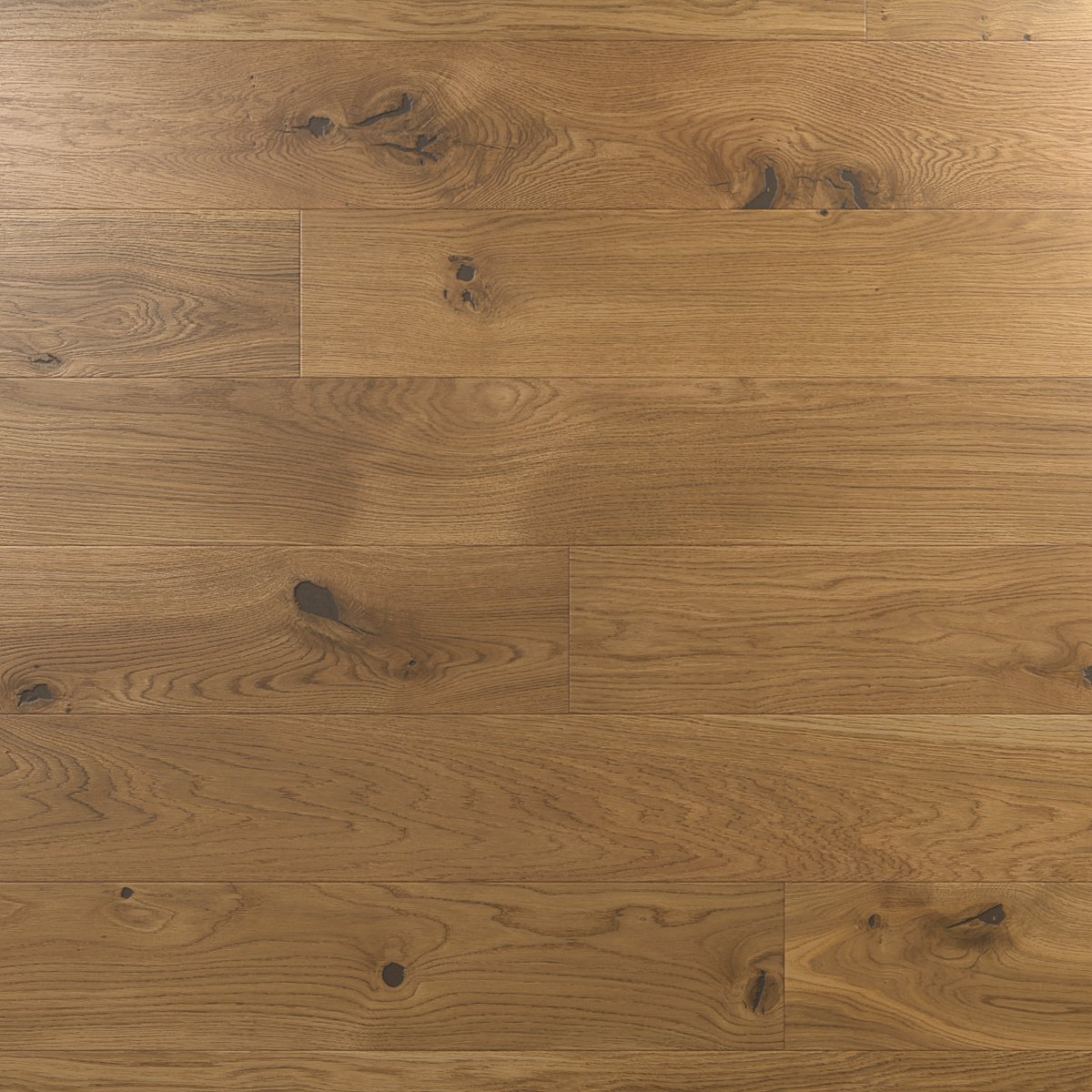 třídění esco – special rustic