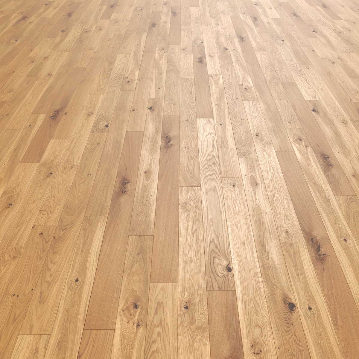 třídění esco – lively