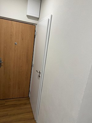 VOSTER PLNÁ KŘÍDLA / Finish - bílá