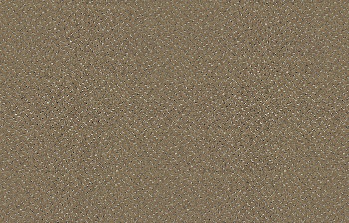 obrázek Zátěžový koberec Fortesse Sde New 40
