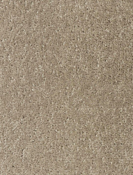 obrázek Metrážový koberec - Dynasty 91